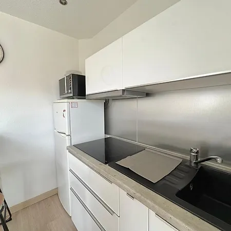 Apartment Appt Lumineux Avec Terrasse Coeur De 35 M² *